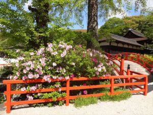 下賀茂神社３