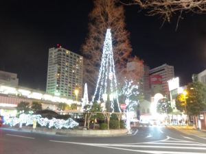 珍々１