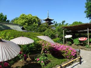 ぼたん苑１４