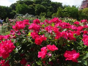 芝公園9 芝公園9