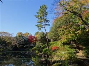 有栖川公園7 有栖川公園7