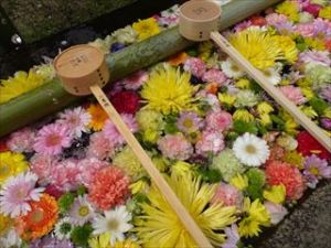 常寂光寺7 常寂光寺7