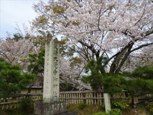 大覚寺1 大覚寺1