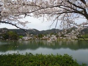 大覚寺7 大覚寺7