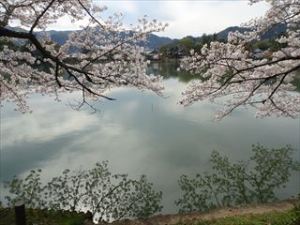 大覚寺9 大覚寺9