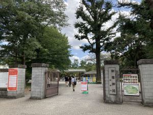 新宿御苑1 新宿御苑1
