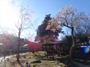 修善寺温泉６