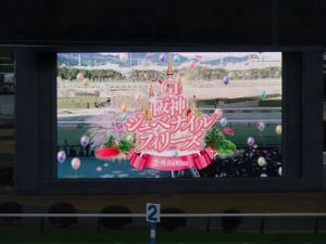 競馬7 競馬7