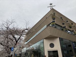 目黒川5 目黒川5