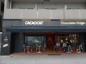 CACAOCAT1 CACAOCAT1
