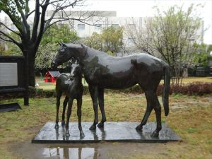 中京競馬場3 中京競馬場3