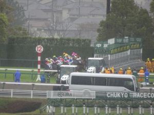 中京競馬場9 中京競馬場9
