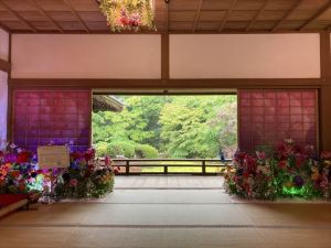 随心院8 随心院8