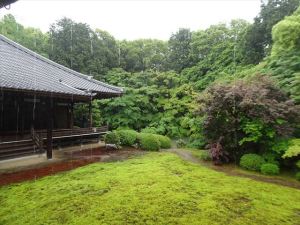 随心院13 随心院13