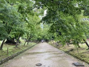 醍醐寺7 醍醐寺7