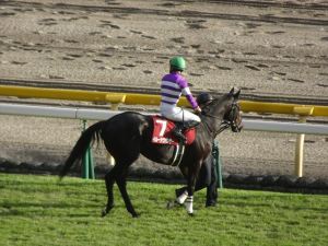 競馬14 競馬14