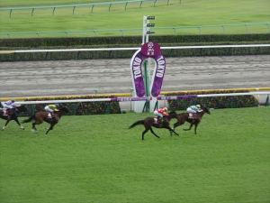 競馬16 競馬16
