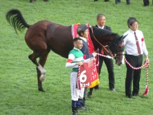 競馬17 競馬17