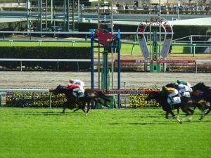 競馬1 競馬1