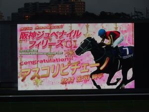 競馬7 競馬7