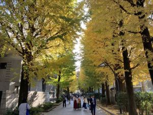 上野恩賜公園5 上野恩賜公園5