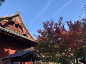 上野恩賜公園6 上野恩賜公園6