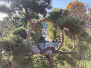 上野恩賜公園9 上野恩賜公園9