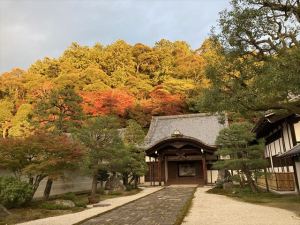 南禅寺9 南禅寺9
