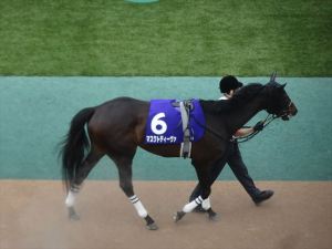 競馬4 競馬4