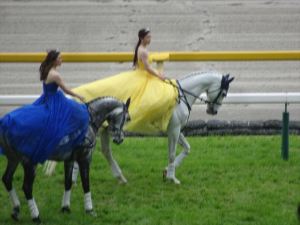 競馬6 競馬6