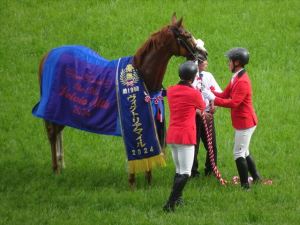 競馬12 競馬12