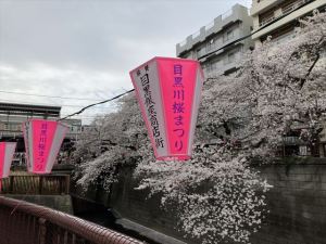 目黒川5 目黒川5