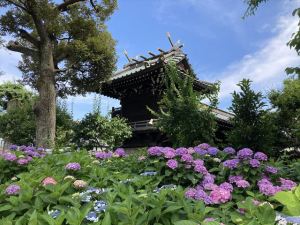 白山神社９