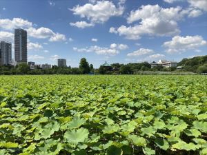 上野恩賜公園2 上野恩賜公園2